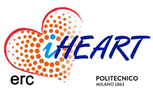 iHEART - Modelling the Cardiac Function